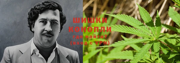 соль ск Богородск
