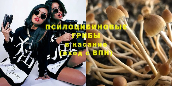 МДПВ Богданович